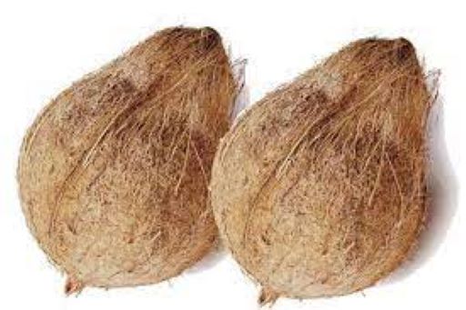 Pooja Coconut ea