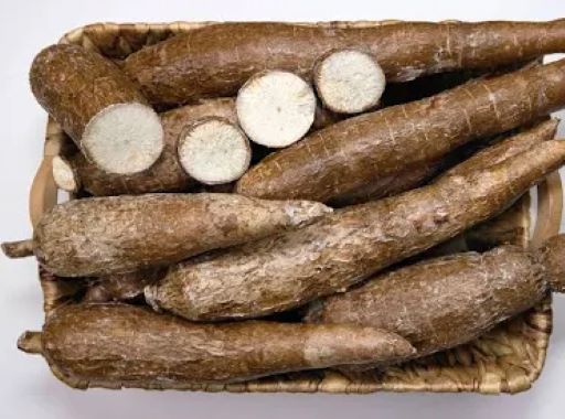 Cassava