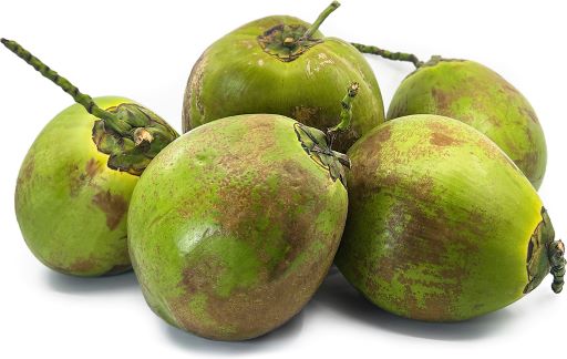 Green Coconut Tender ea