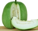 Ash Gourd