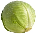 Green Cabbage