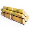Sugarcane
